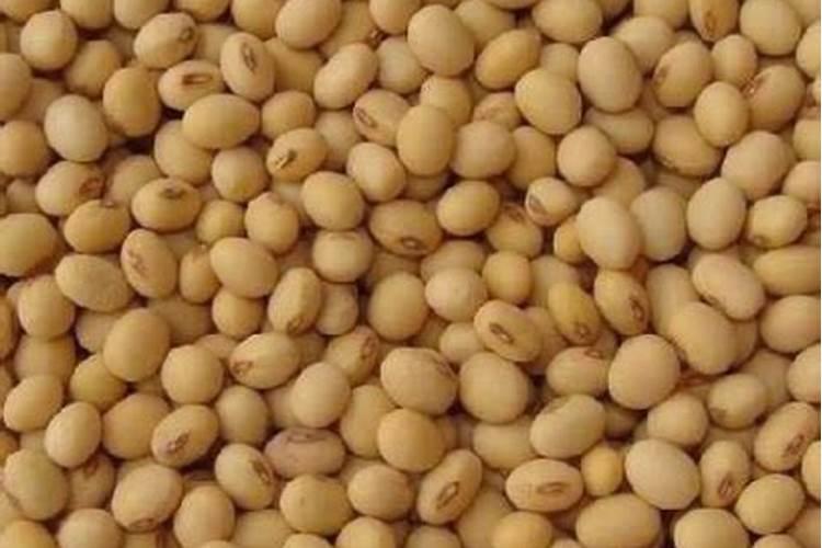 天然的氮肥有哪些