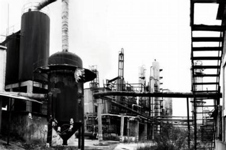 石榴的生长过程记录？(详细的记录生长过程)