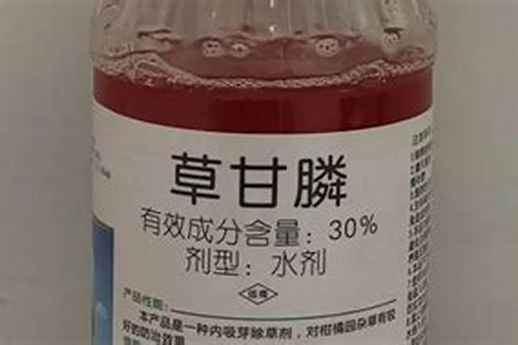 喷施杀菌药有露水喷施可以吗？