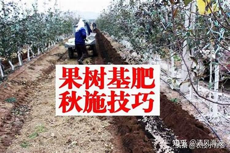 一亩茶叶需要多少肥料？