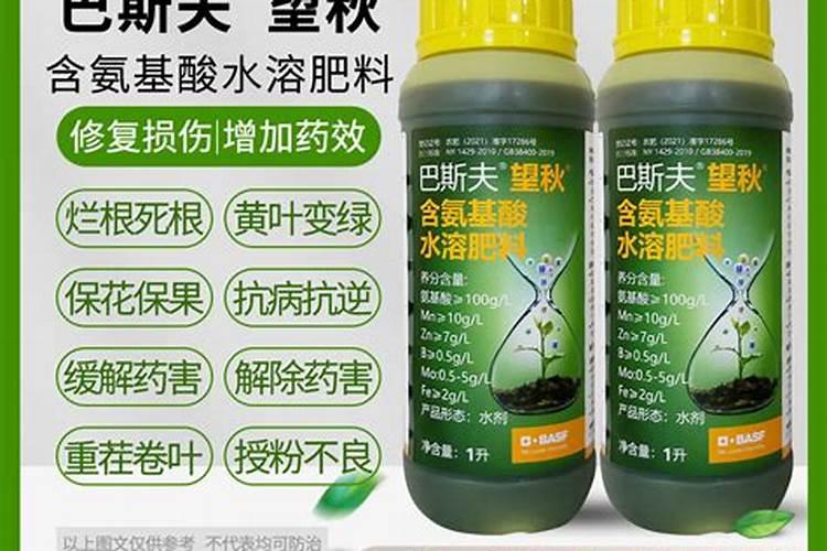 氨基酸水溶肥的功效与作用是什么？