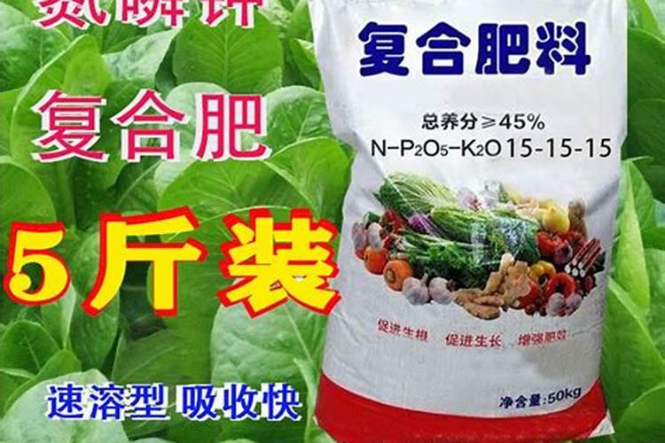 施什么肥可以促进开花