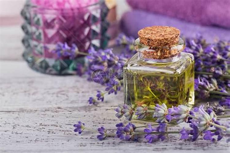 薰衣草施什么肥好,薰衣草施肥方法