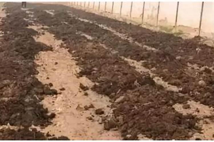 复合肥碳酸氢铵有机肥能混合用吗