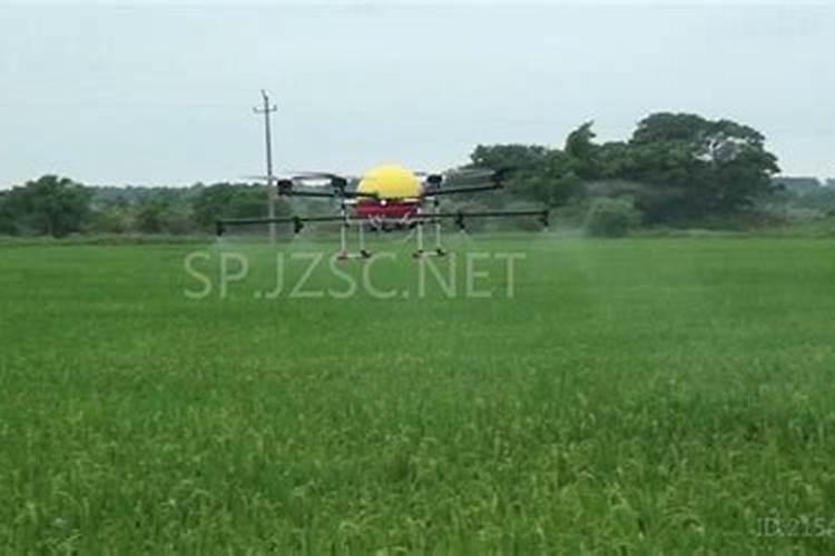 钾肥是什么肥料 植物缺少钾肥会怎么样