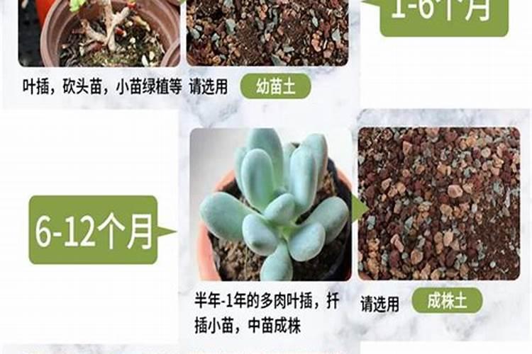 氮肥是酸性还是碱性的