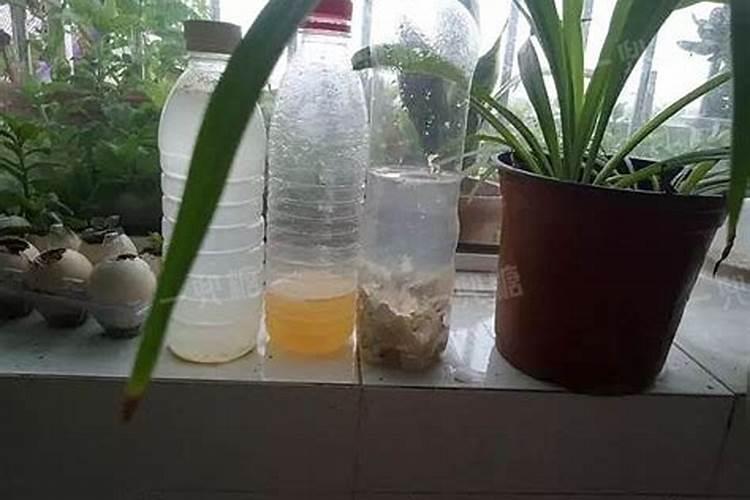 尿素生产的工艺过程和流程是如何安排的