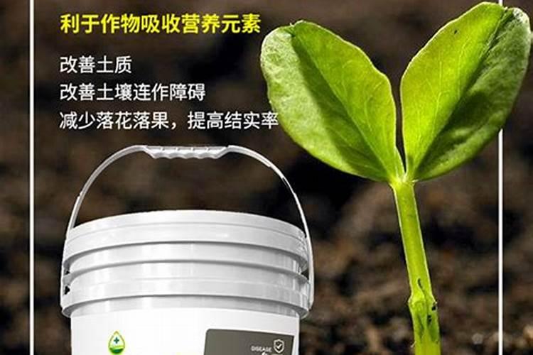 土壤调理剂的功能与使用