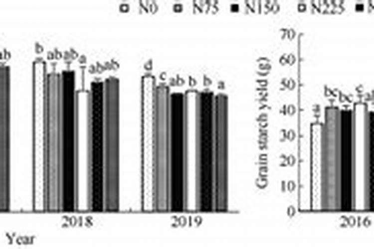 纯沙地能种牧草吗