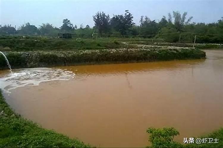 桃树追施什么肥料好？桃树膨大素什么时候用好？