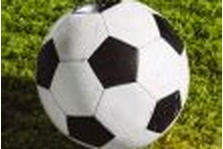 河北有哪些化肥厂？