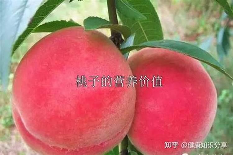 桃子如何快速膨大成熟？