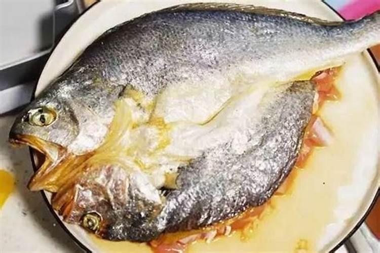 鱼类浓缩蛋白制作方法