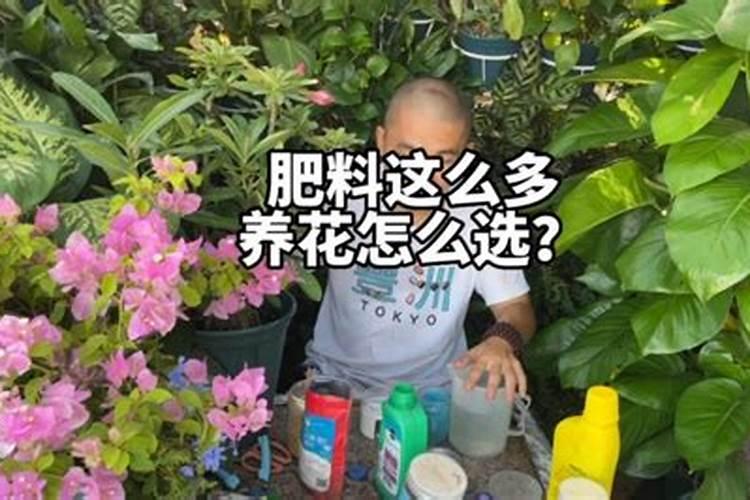 如何自制液肥