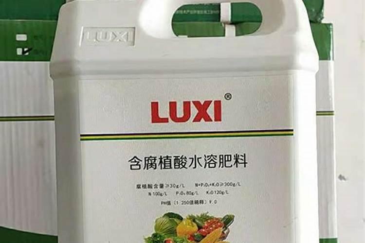 芸苔素能拌麦种吗 芸苔素可不可以拌麦种