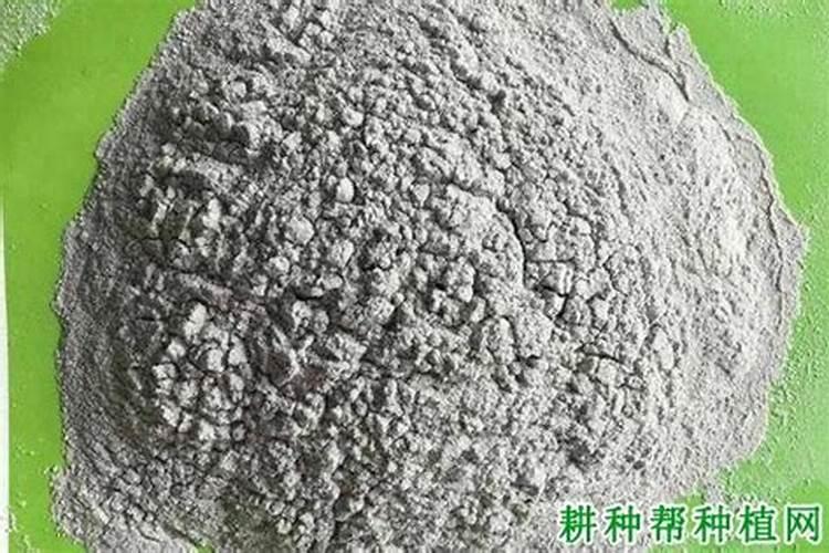 种苹果树需要每年都用硼和锌吗？