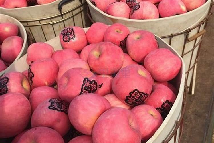 哪种叶面肥能让叶子又肥又大