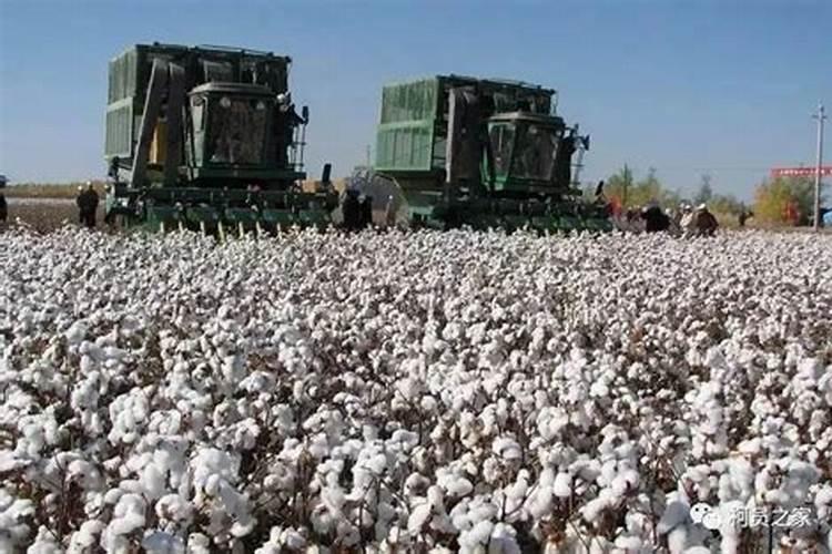 海口哪里肥料批发