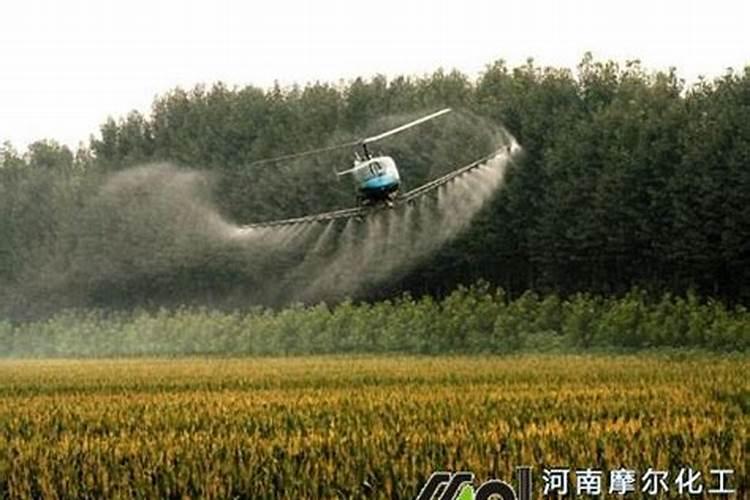 花生硼果期需要什么肥料施肥