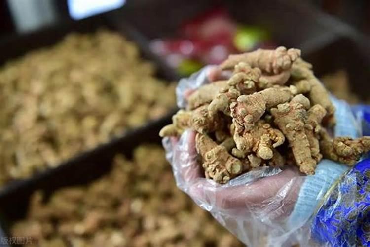 枣树施什么肥最好