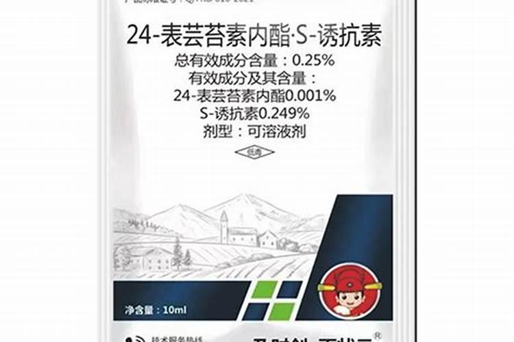 毛葱这种属于什么病害