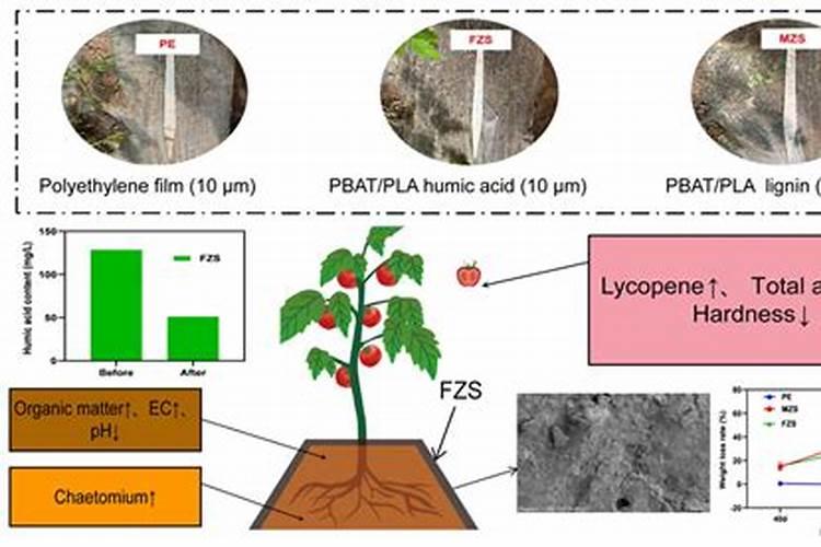 腐殖酸水溶肥在草本花卉上的主要作用