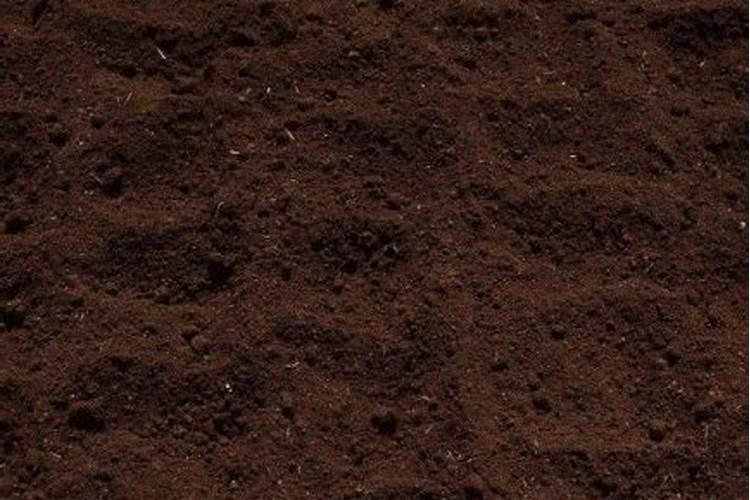 什么肥料可以让土壤快速松软