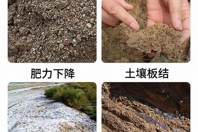 如何让板结的泥土松散,板结土质改良松软的十大方法