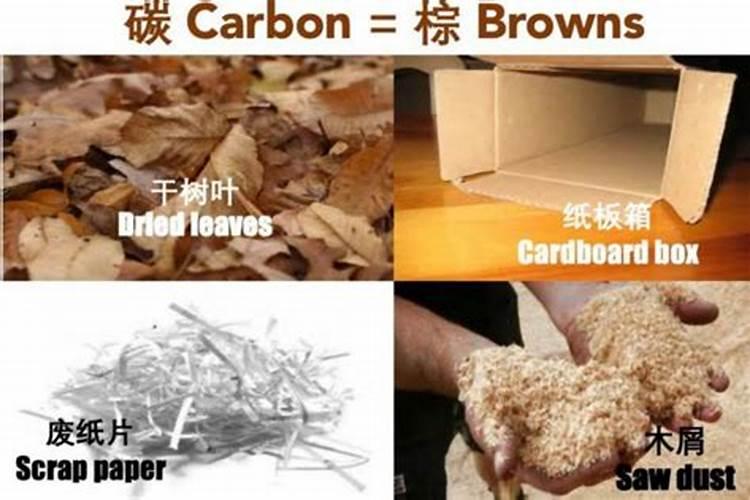 月季春天发芽后管理是什么？