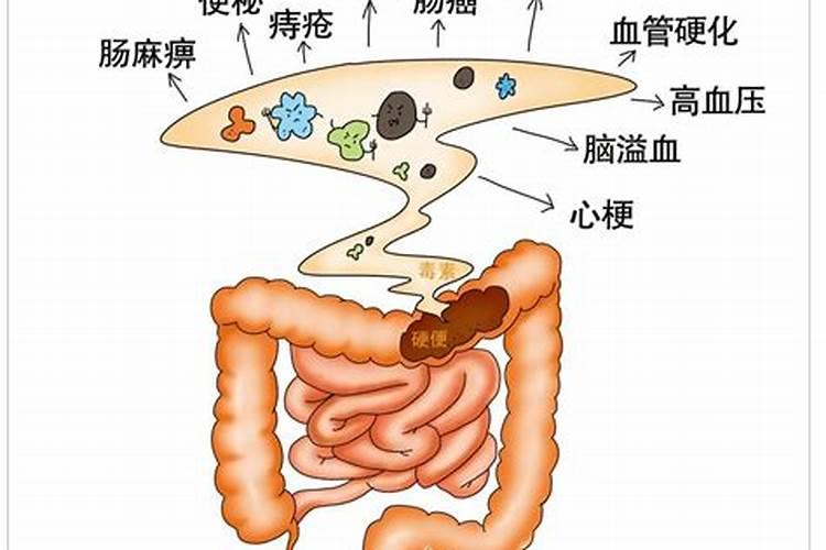 兔子屎有什么用？