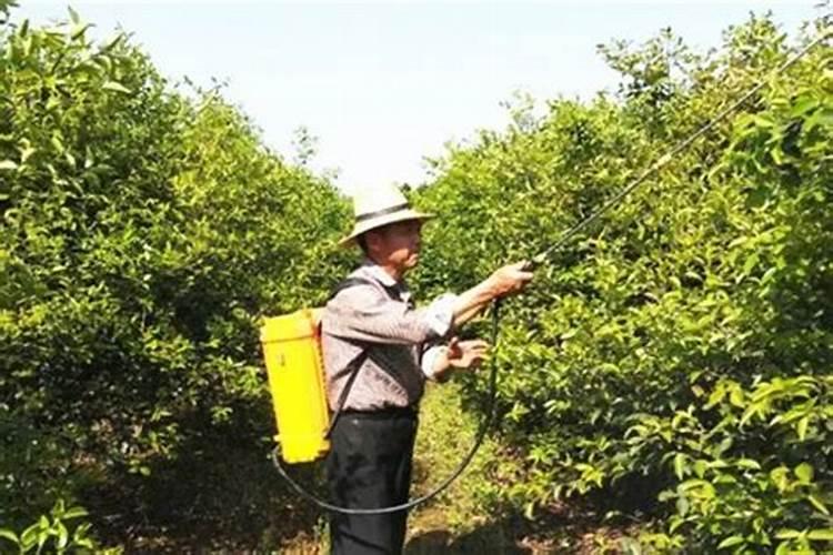 CA(NO3)2硝酸钙不能和什么化肥混用