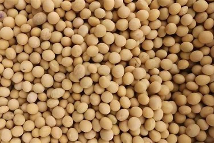 大豆的施肥该怎样进行呢？