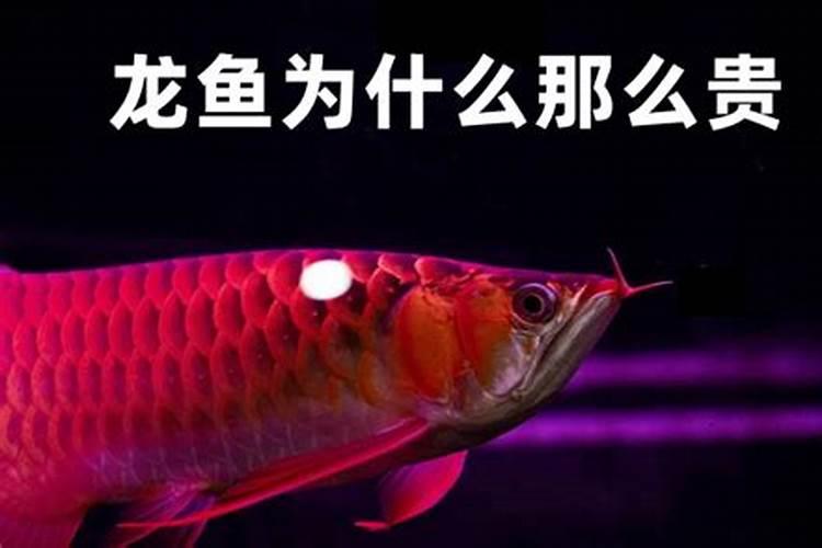 磷钾肥是什么肥