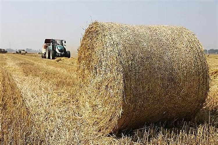 秸秆焚烧的好处有哪些