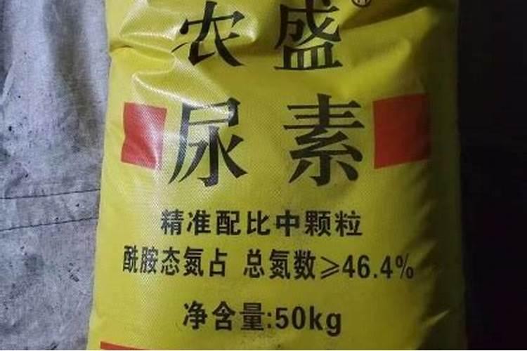 花叶子发黄用什么肥料 ？10种原因对症下药