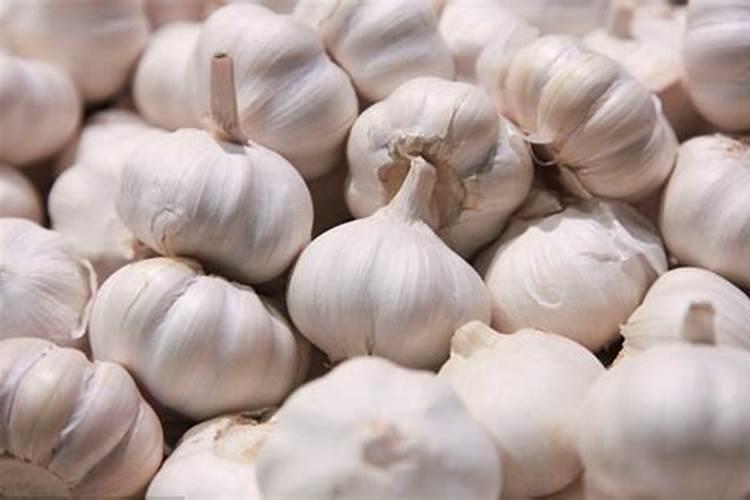 大蒜最忌啥肥料种植