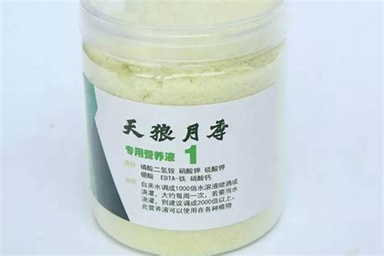 泉林黄金小镇有哪些令人难忘的美景？