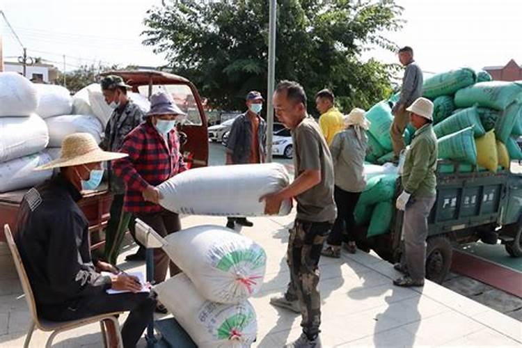 谷类作物有哪些