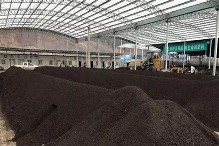 沤肥臭死人？跟60岁老花农学几招,放家里都没味!