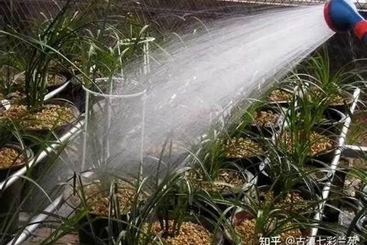 养花的营养液怎么用