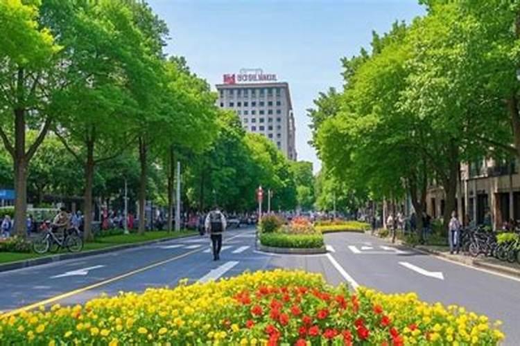 北方既耐寒又名贵树种是哪些(北方耐寒树品种大全)