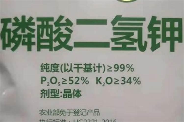 果园后期叶面肥用什么好