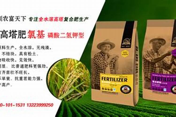 怎么给兰花施肥