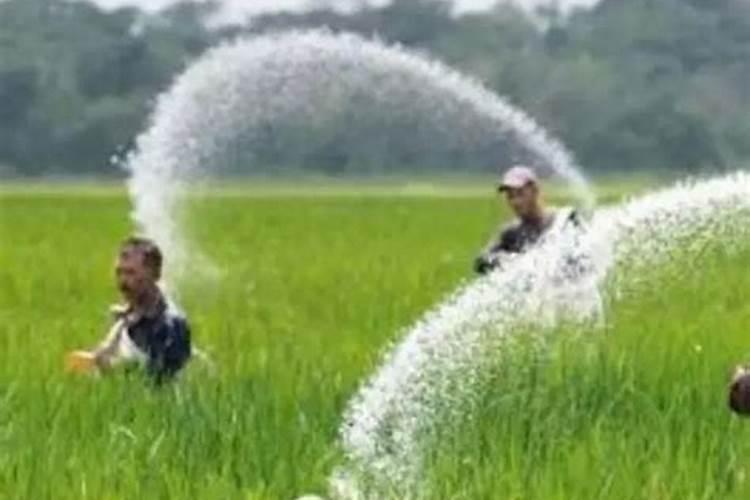 如何给种菜的土壤消毒