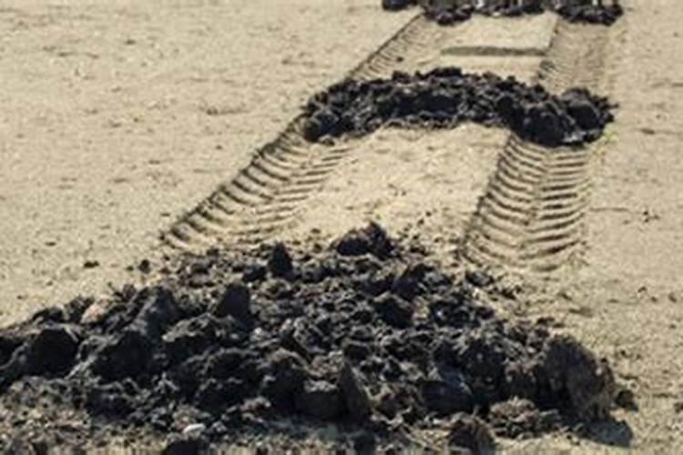 在打药操作过程中,瓶子里装着的醋和工业红糖加水的混合液,能否往药里...