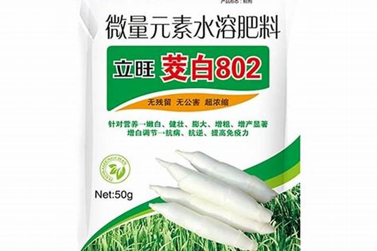 茭白反季节种植技术