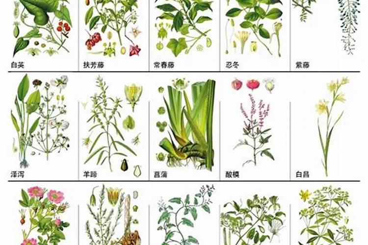 氮、磷、钾肥怎样合理分配？