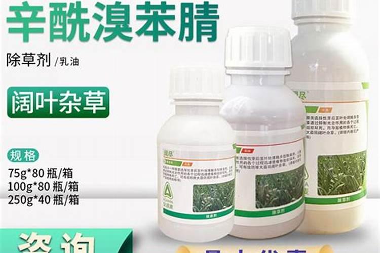 水稻叶发黄枯死是什么病？