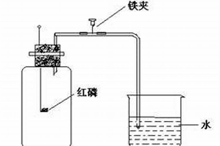 磷肥可以杀青苔吗