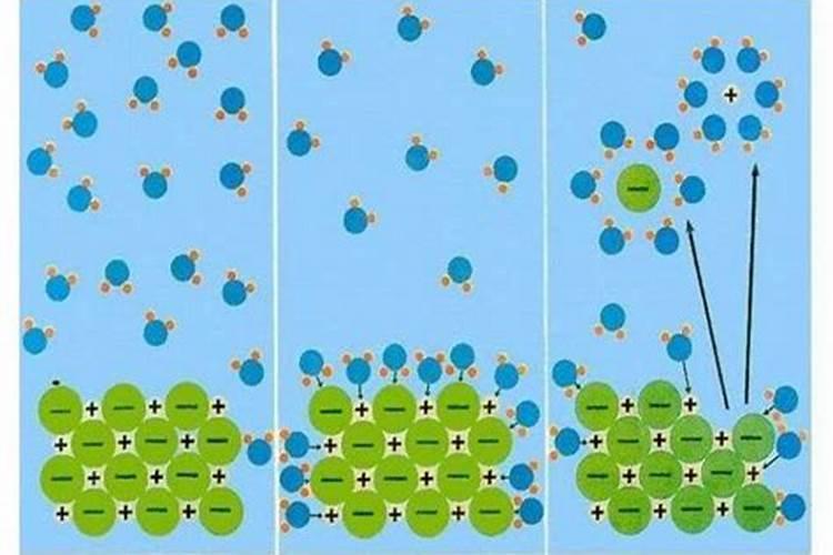 冲施肥是什么意思 冲施肥与水溶肥的区别